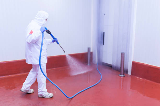 Best Sidewalk and Walkway Cleaning  in Baxter Village, SC